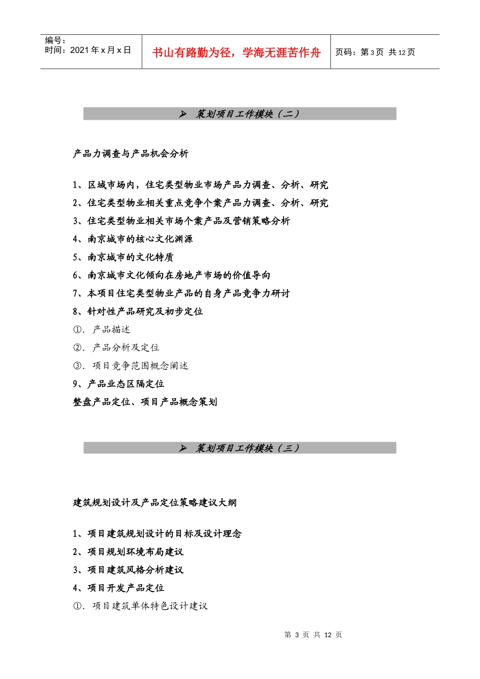 项目代理策略综合提纲_第3页