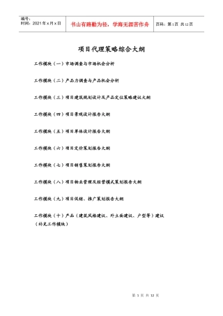 项目代理策略综合提纲