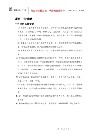 项目广告策略