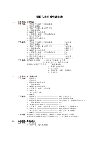 项目入市前操作计划表9328357593