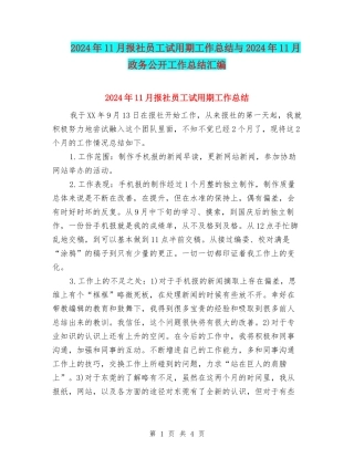 2024年11月报社员工试用期工作总结与2024年11月政务公开工作总结汇编