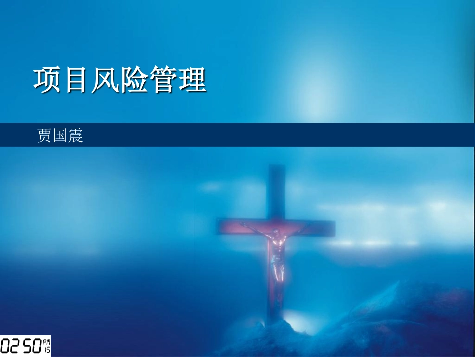 项目风险管理(PDF59页)_第1页