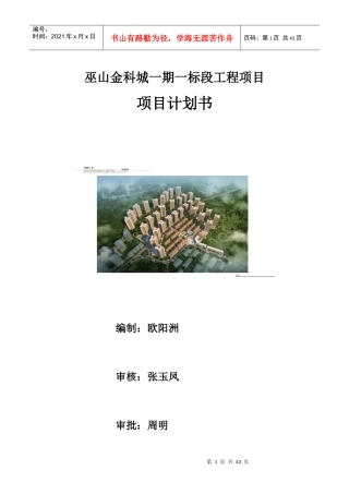项目管理实施规划