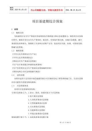 项目建设期应急预案