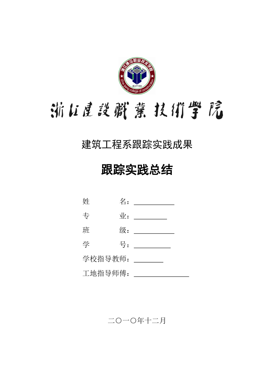 项目施工跟踪实践总结模版_第1页