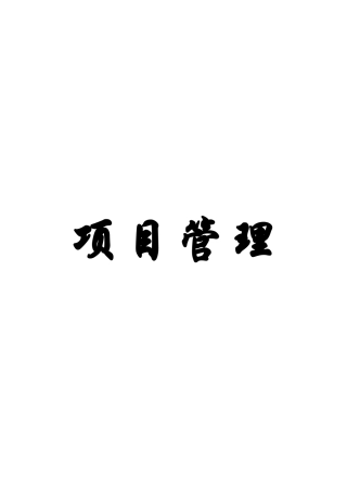 项目管理（DOC 98页）
