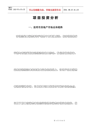 项目投资综合分析