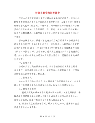 村镇小额贷款招标报告