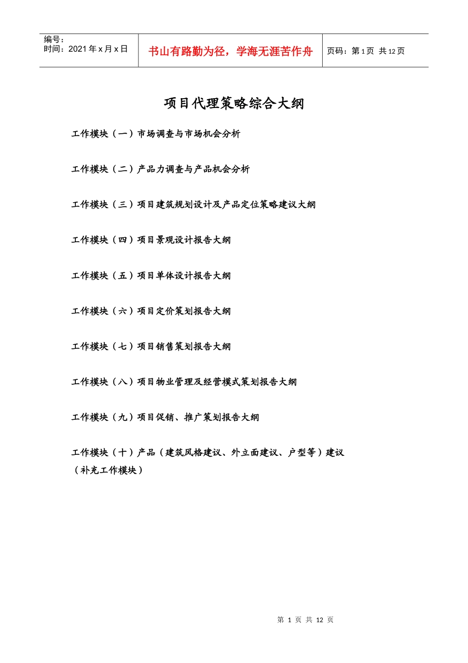 项目代理策略综合大纲_第1页