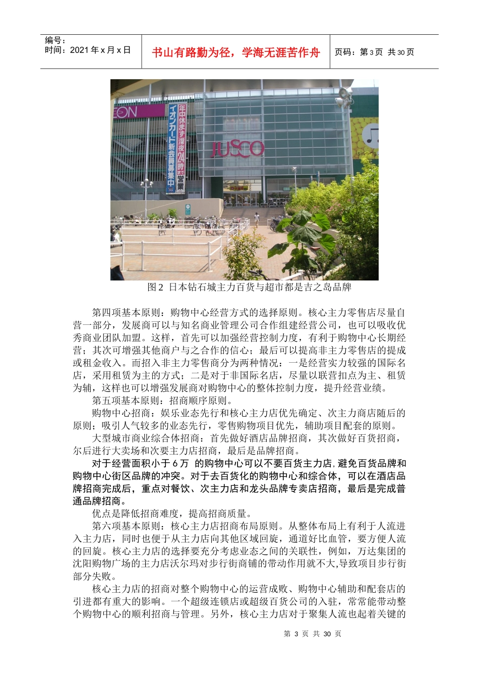 面向三线城市大型购物中心与步行街招商策划及招商计划_第3页