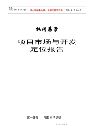 项目市场与开发定位报告