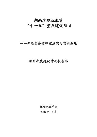项目年度建设报告书