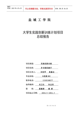 项目总结报告(new)