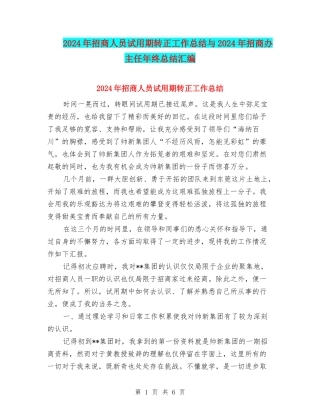 2024年招商人员试用期转正工作总结与2024年招商办主任年终总结汇编