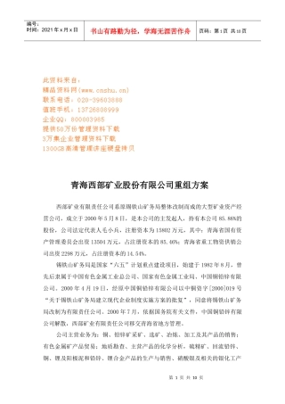 青海某矿业公司重组方案