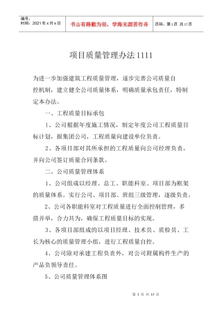 项目质量管理办法111111