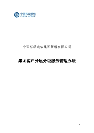 集团客户分层分级服务管理办法(校对版)