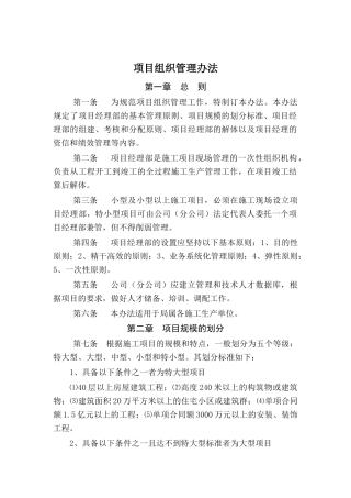 项目组织管理办法(doc 19页)7
