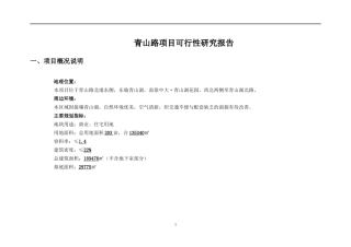 青山路项目可行性研究报告