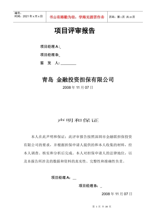项目评审报告模板