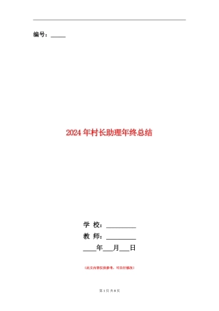 2024年村长助理年终总结