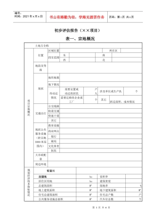 项目初步评估报告模版