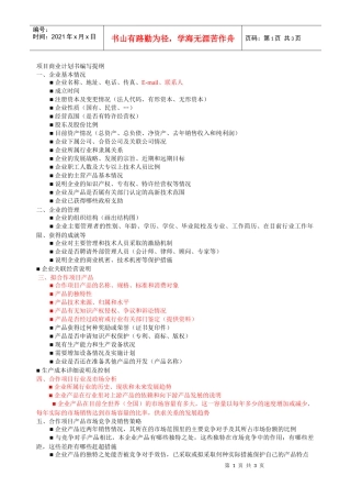 项目计划书提纲