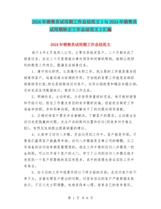 2024年销售员试用期工作总结范文3与2024年销售员试用期转正工作总结范文2汇编