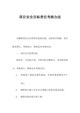 项目安全目标责任考核办法(2)