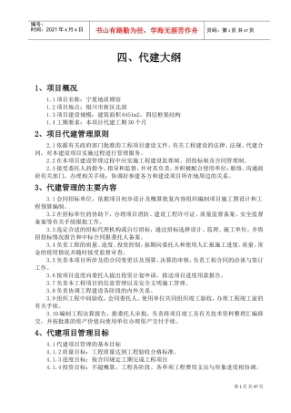 项目代建大纲(DOC78页)