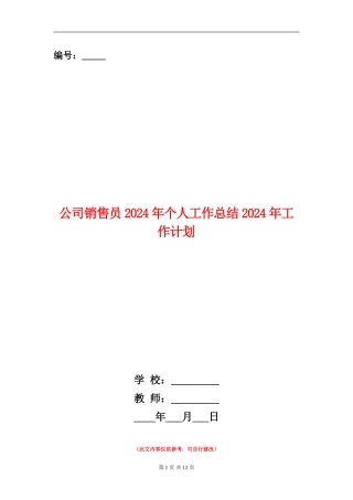 公司销售员2024年个人工作总结2024年工作计划
