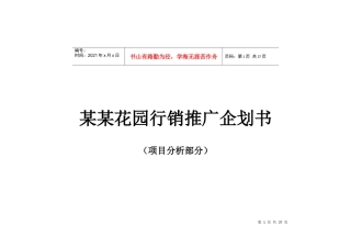 项目策划2分析(1)