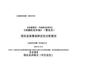项目总体策划和定位分析报告
