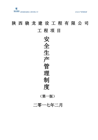 项目安全生产管理制度2017