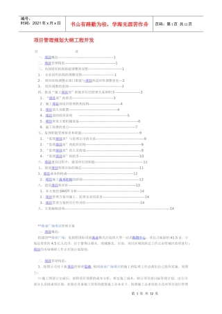 项目管理规划大纲工程开发