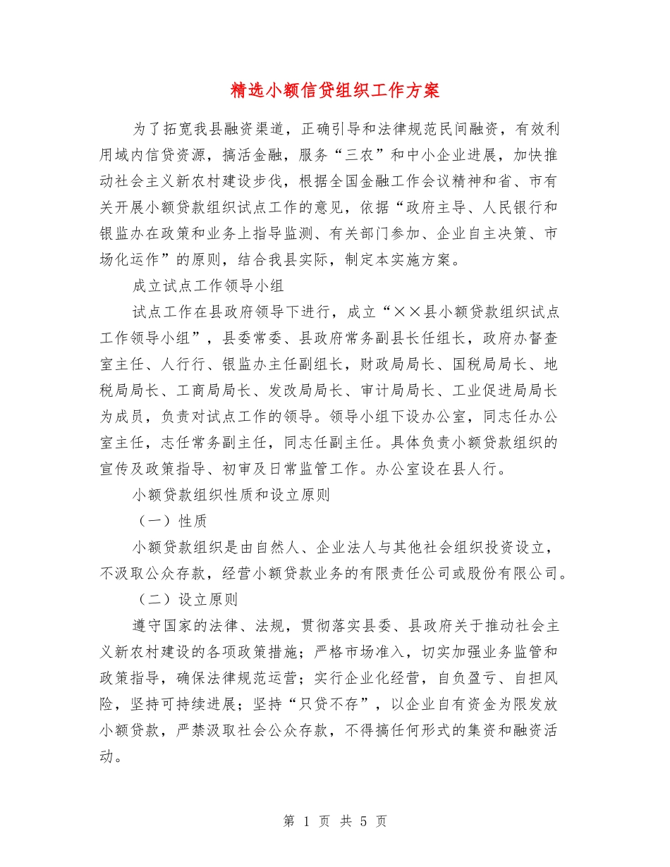 小额信贷组织工作方案_第1页