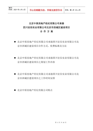 项目合作方案中原