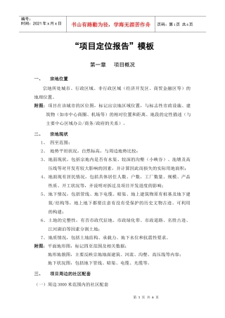 项目定位报告模板