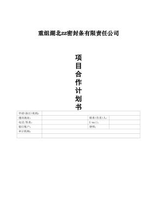 项目合作计划书(DOC37页)