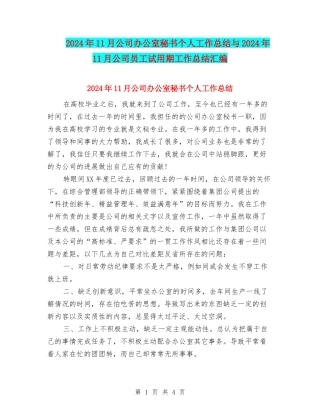 2024年11月公司办公室秘书个人工作总结与2024年11月公司员工试用期工作总结汇编