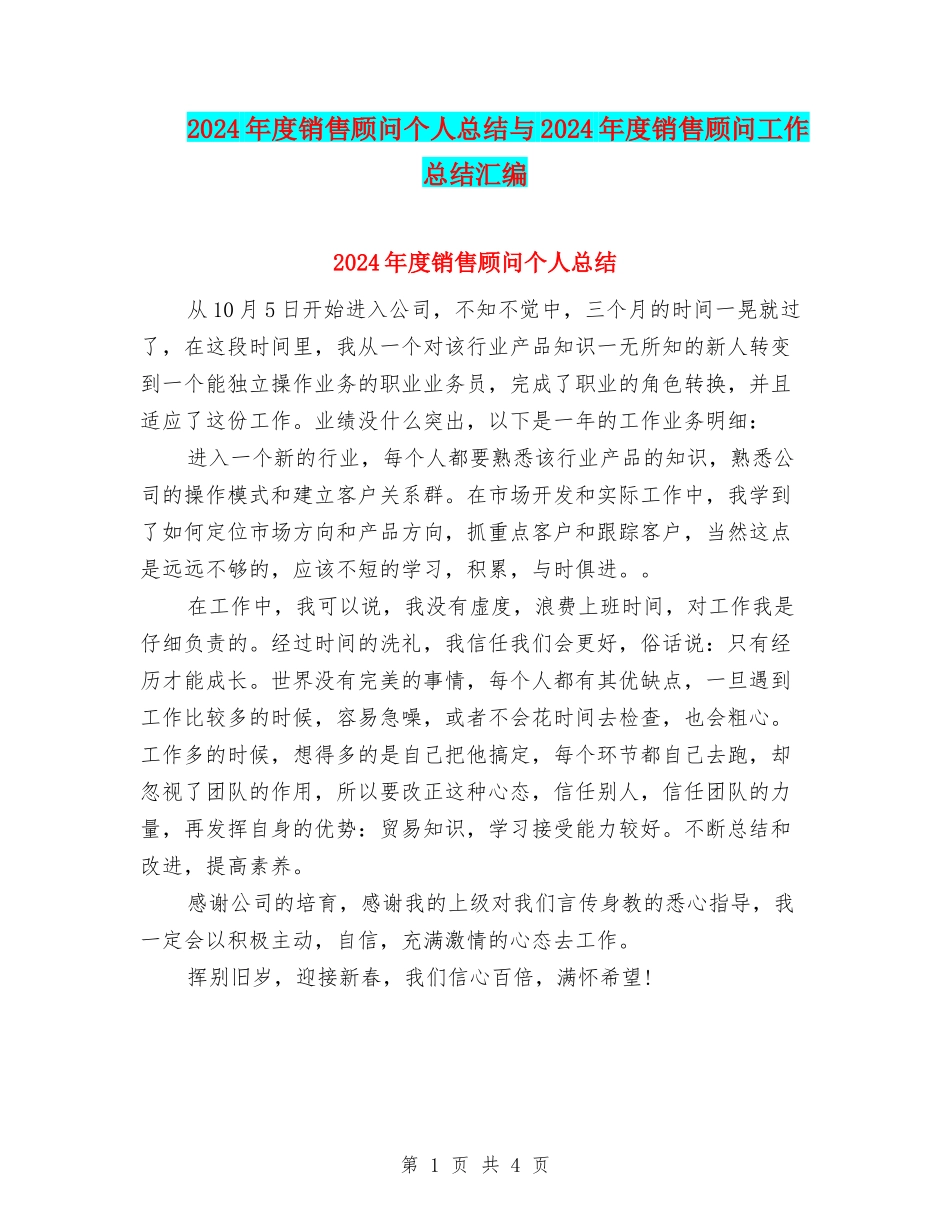 2024年度销售顾问个人总结与2024年度销售顾问工作总结汇编_第1页