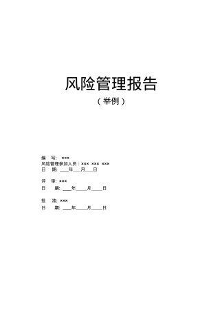 风险管理报告举例(DOC 18)