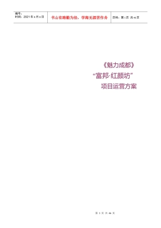 魅力成都富邦项目运营方案