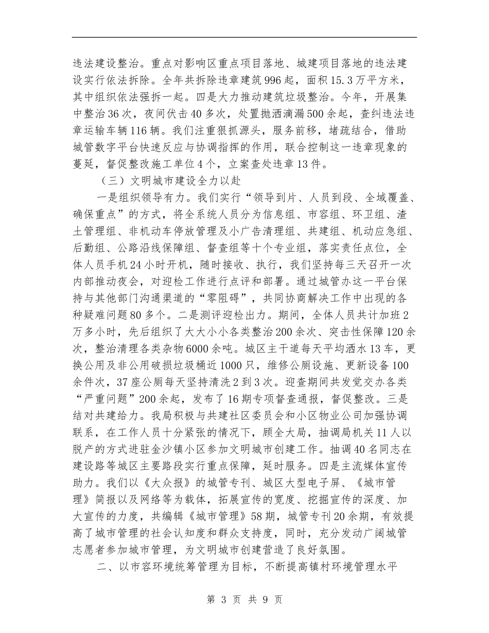 城管工作总结及实施计划_第3页
