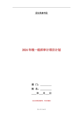 2024年统一组织审计项目计划