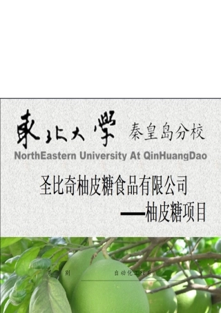 食品公司柚皮糖项目商业计划书