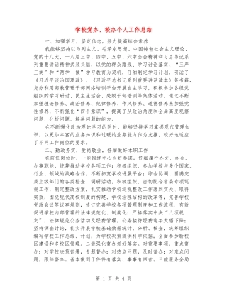 学校党办、校办个人工作总结