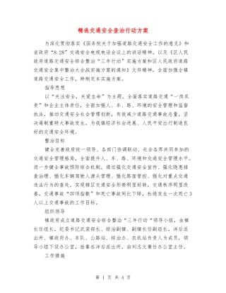 交通安全查治行动方案