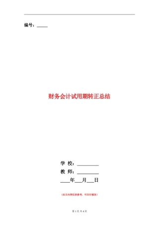 财务会计试用期转正总结