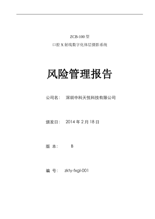 风险管理报告14971